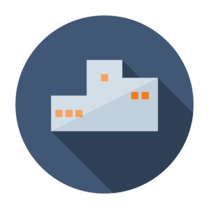 Government IT Support